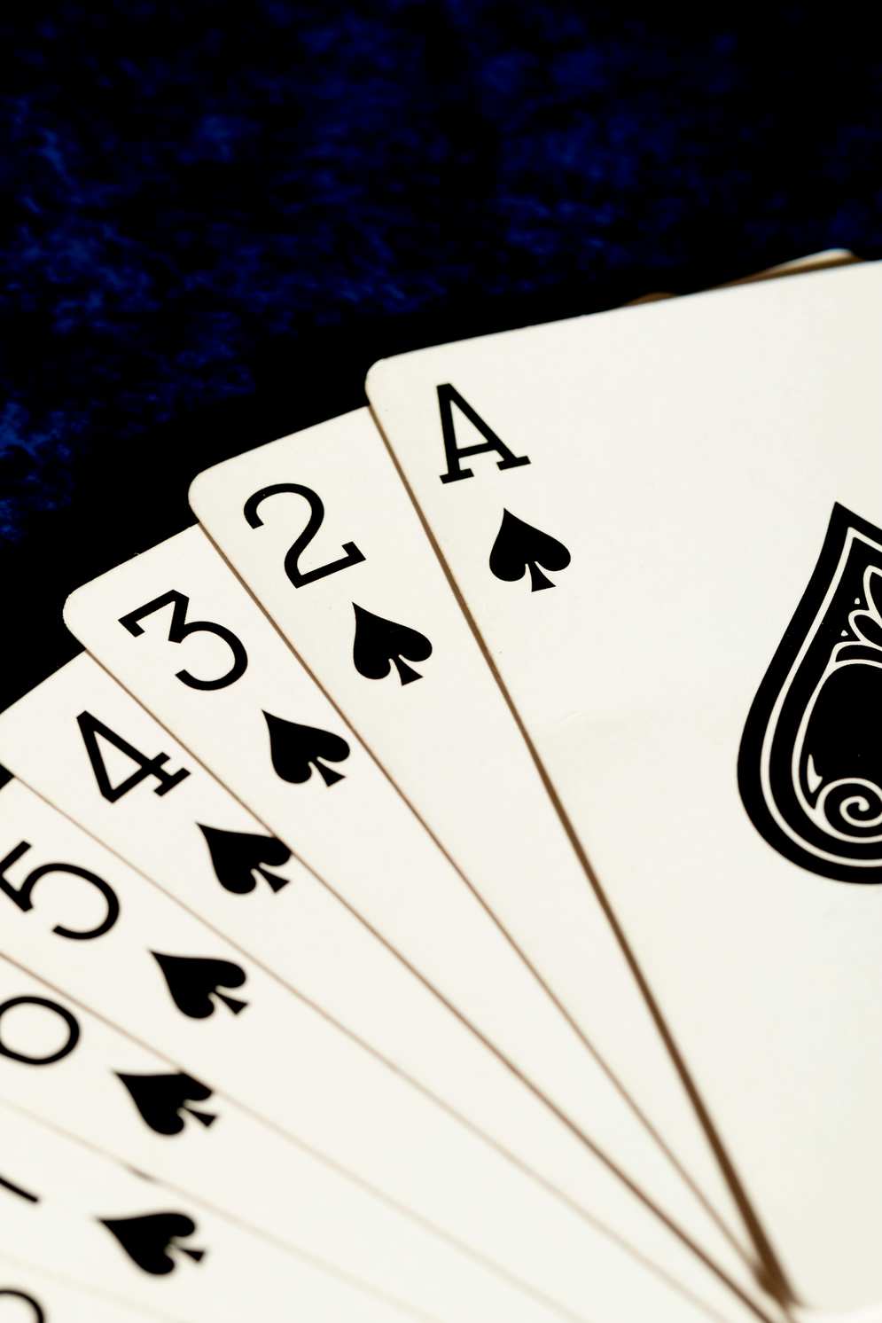 black label casino connexion